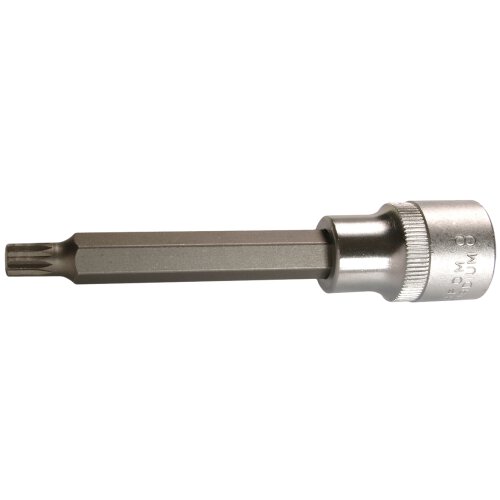 SW-Stahl 05203L Screwdriver bit, 1/2", internal multi-tooth, M10 x 100 mm