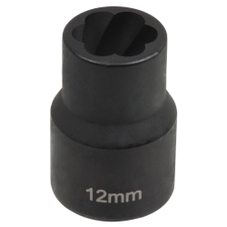 SW-Stahl 05545L-12 Douille à rainure...