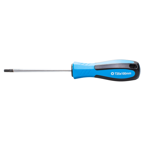 SW-Stahl 31725SB ドライバー、T プロファイル、T25 x 100 mm
