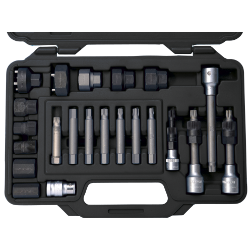 SW-Stahl 05275L bit set for freewheel pulley, 1/2", 22 pieces