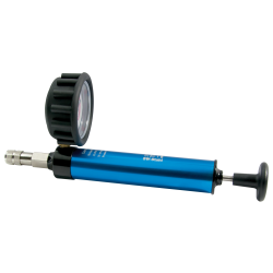 SW-Stahl 21002L Druckpumpe