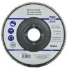 SW- Stahl 81310L Fächerschleifscheibe 125 mm NK 40 Schleifscheibe