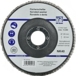 SW-Stahl 81312L Fächerschleifscheibe, 125 mm, NK80