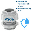 SIB F7003600 Kunststoff Kabelverschraubung PG36 lichtgrau 18,0 - 32,0 mm 5308736