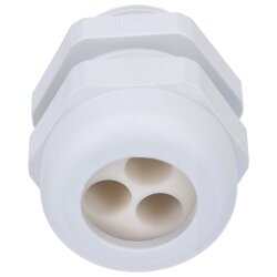 Schlemmer 5316303 WADI-TEC-DUPLO PA6 M25 3X8 HGR