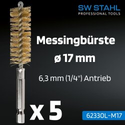 SW-Stahl 62330L-M17 真鍮ブラシ、ø 17 mm、5本