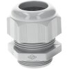 SIB F7042040 Plastic Cable Gland 3/4" NPT, Light Gray, 7.0–16.0 mm, 5308906