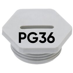 SIB G4636007 Blindstopfen sechskant PG36 Kunststoff lichtgrau 7002360