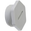 SIB G4642008 Tapón ciego hexagonal PG42 plástico gris claro 7002424