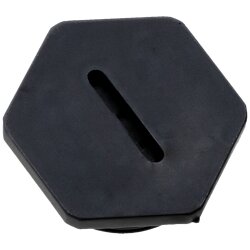 SIB G4825220 Záslepka šestihranná...