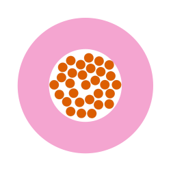 Lapp 4520085 H07V-K 1X10 PK