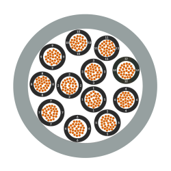 Lapp 1119862 ÖLFLEX CLASSIC 110 12X1