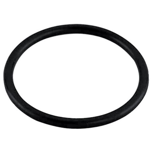 Schlemmer 8112804 O-ring seal for hose fitting NW12