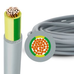 Lapp 29210 ÖLFLEX CLASSIC FD 810 P 1G10