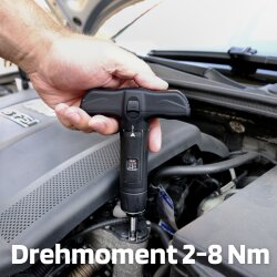 SW-Stahl 03913L T-handtag momentnyckel med bits, 2-8 Nm, 13 delar