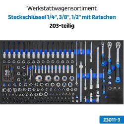 SW-Stahl Z3209 profesjonell verkstedvogn TT802, svart, utstyrt, 304 stk.
