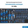 SW-Stahl Z3208 Profi-Werkstattwagen TT802 blau, bestückt, 304-teilig