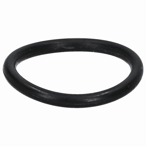 Schlemmer 8112607 SEM-DICHTUNG 17,0X2,0NW23/PG21