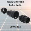 Wieland 96.031.4153.1 RST20i3 connector, straight, number of positions 3, socket
