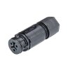 Wieland 41.031.3053.1 RST08i3 connector, straight, number of positions 3, socket