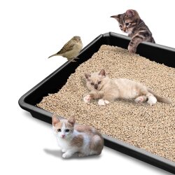 SW-Stahl 07377L Universal Auffangwanne XXL rechteckig / Ölauffangwanne / Grillrost Reinigung / Gewächshauswanne / Hundetoilette / Katzenklo / 40L Fassungsvermögen / Plastik bzw. Kunststoff