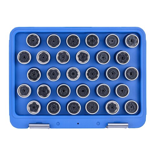 SW-Stahl 02385L Kit de démontage de serrure de jante, Mercedes-Benz, 30 pièces